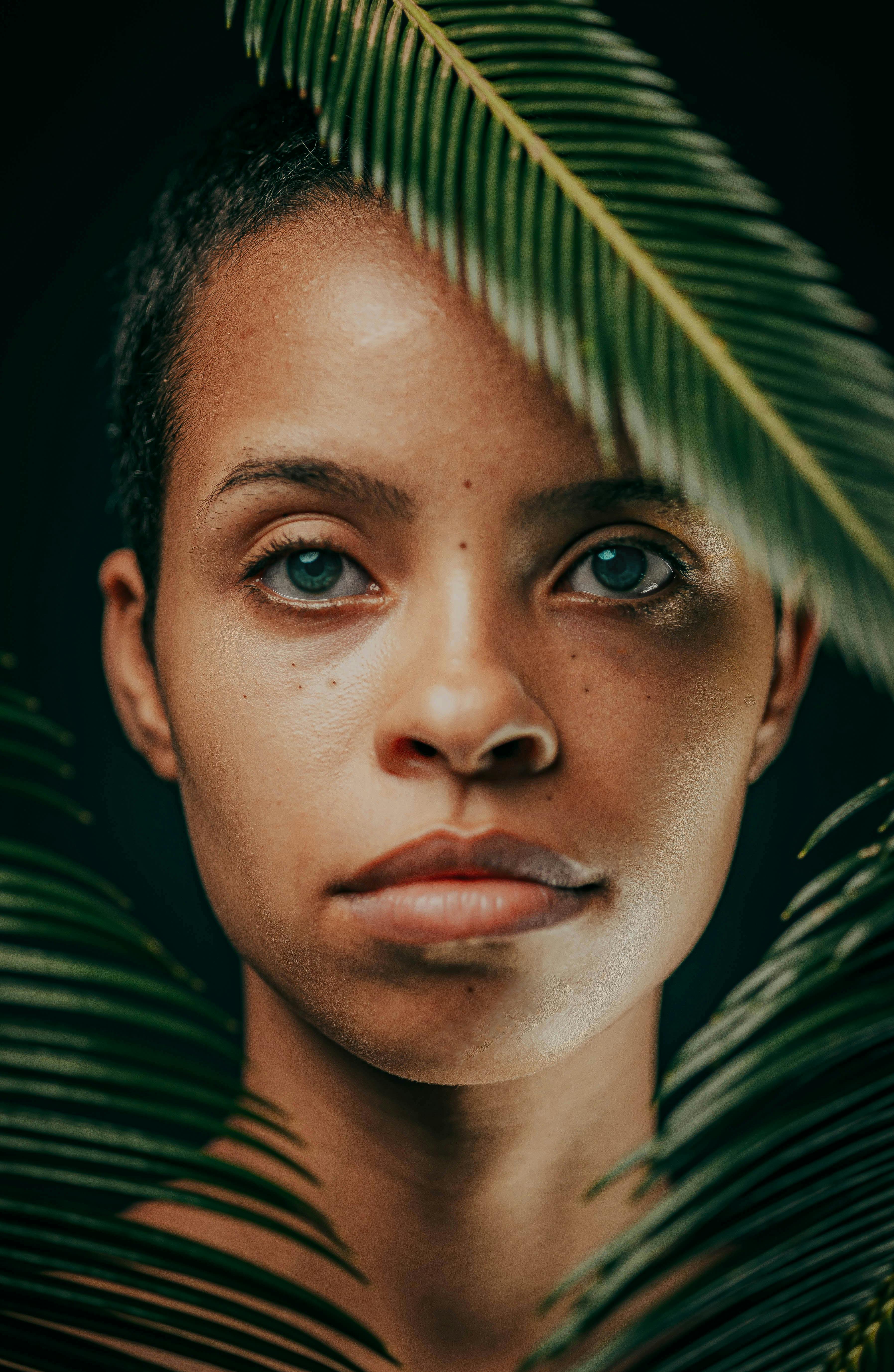 版本对照与信息汇总氛围图