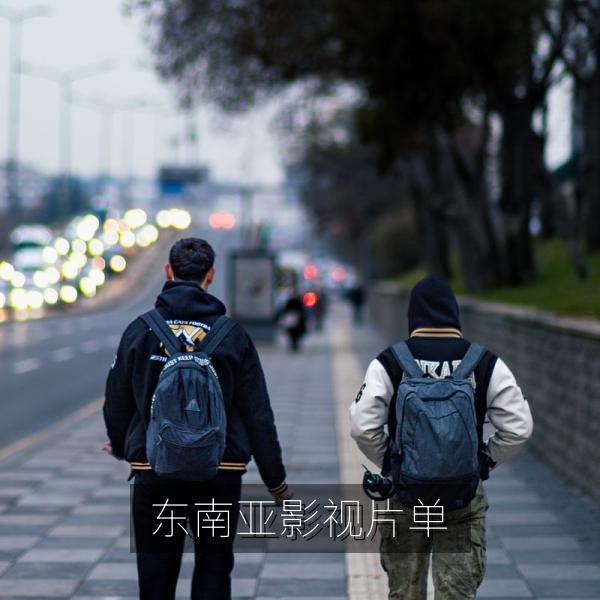 东南亚影视片单